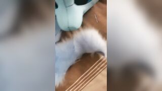 眼鏡學妹外純內騷 嫩乳戴乳釘 陰蒂超大